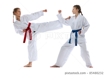 Dynamic portrait of young girls, teens, taekwondo athletes practicing together isolated over white background. Concept of sport, education, skills 85480232