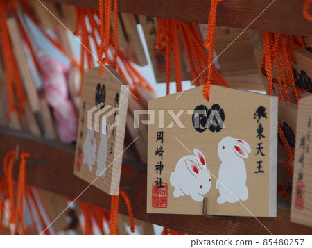 Usagi的電子郵件 85480257