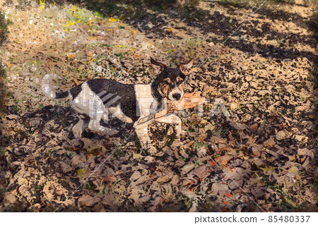 A funny puppy playing with a toy at the dog park. A funny puppy playing with a toy at the dog park. 85480337