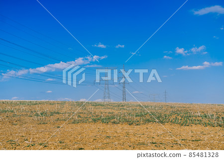 Electric power transmission lines at sky background, autumn field 85481328