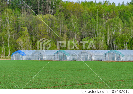 乙烯基屋北海道農場 85482012