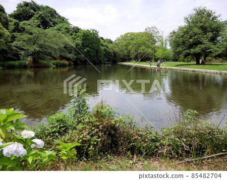 熊本市民的休閒勝地——箱之宮公園 熊本市民的休閒勝地——箱之宮公園 85482704