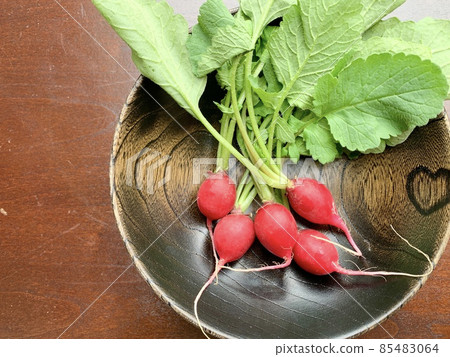 Radishes on a black wooden plate photo material 85483064