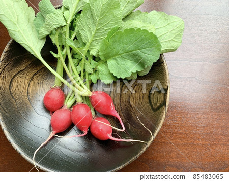 Radishes on a black wooden plate photo material Radishes on a black wooden plate photo material 85483065