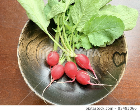 Radishes on a black wooden plate photo material 85483066