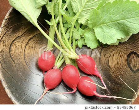 Radishes on a black wooden plate photo material 85483067