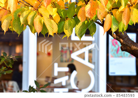 Fashionable cafe on the waterside of Tennozu Isle 85483593