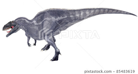 Acrocanthosaurus, the largest carnivorous dinosaur in the early Cretaceous North American continent where the temperature was high. Acrocanthosaurus, the largest carnivorous dinosaur in the early Cretaceous North American continent where the temperature was high. 85483619