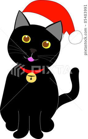 戴著聖誕帽的黑貓 85483991
