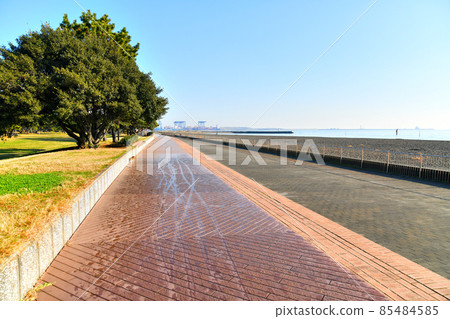 Jonanjima Seaside Park / Tsubasa Beach (Ota-ku, Tokyo) [2021.12] 85484585
