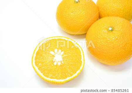 甜蜜的春天 甜蜜的春天 85485261