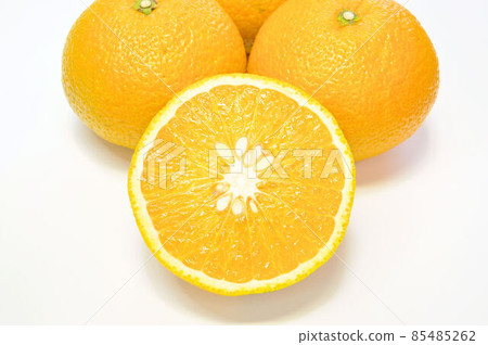 甜蜜的春天 甜蜜的春天 85485262