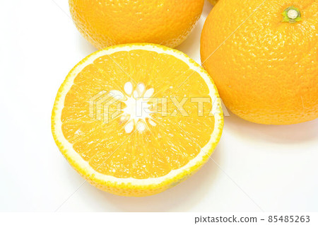 甜蜜的春天 甜蜜的春天 85485263