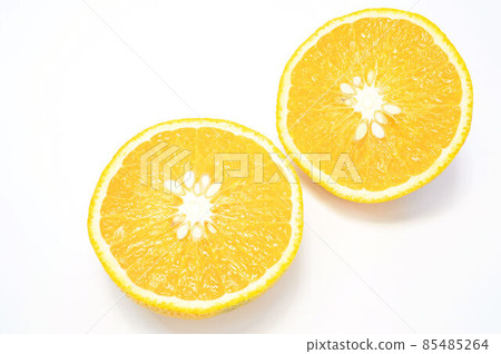 甜蜜的春天 甜蜜的春天 85485264