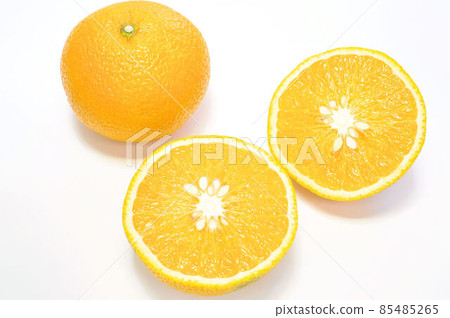 甜蜜的春天 甜蜜的春天 85485265