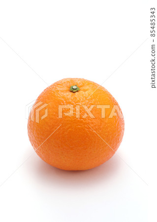 伊予館 伊予館 伊予館 85485343