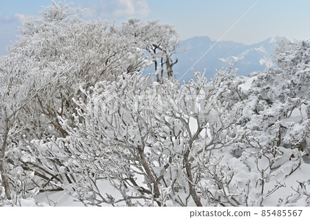 Winter scenery of Mt. Miune, the most beautiful mountain in Shikoku Winter scenery of Mt. Miune, the most beautiful mountain in Shikoku 85485567