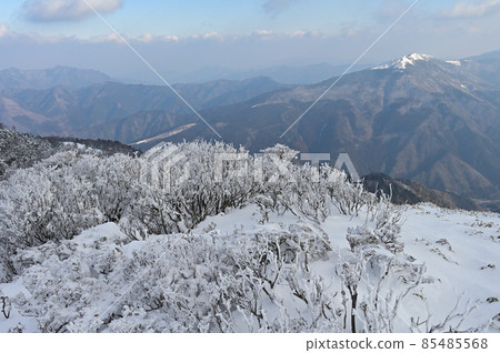 Winter scenery of Mt. Miune, the most beautiful mountain in Shikoku 85485568