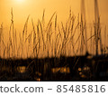 Romantic sunset at the harbor 85485816