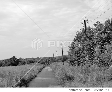 Beautiful empty asphalt road in countryside on colored background Beautiful empty asphalt road in countryside on colored background 85485964