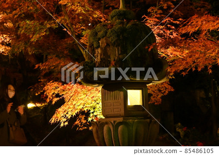Eiken temple light up 85486105