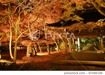 Eiken temple light up 85486106