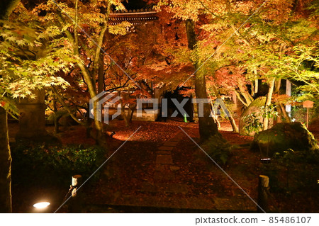 Eiken temple light up 85486107