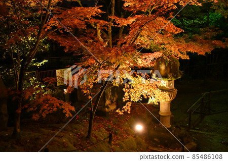 艾肯寺照亮了 艾肯寺照亮了 85486108