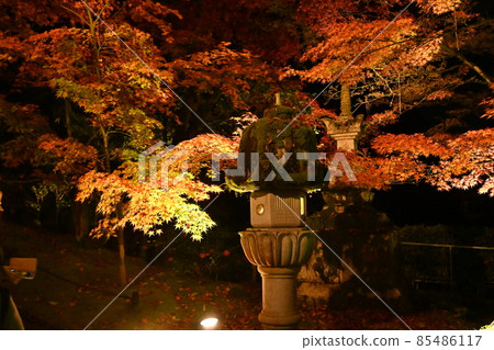 艾肯寺照亮了 艾肯寺照亮了 85486117