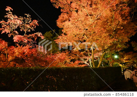 Eiken temple light up 85486118