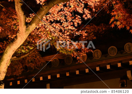 Eiken temple light up 85486120