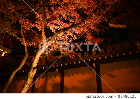 Eiken temple light up 85486123