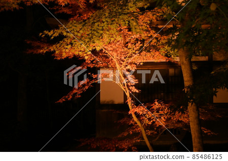 Eiken temple light up 85486125