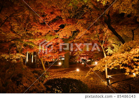 Eiken temple light up 85486143