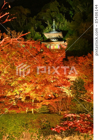 艾肯寺照亮了 艾肯寺照亮了 85486144