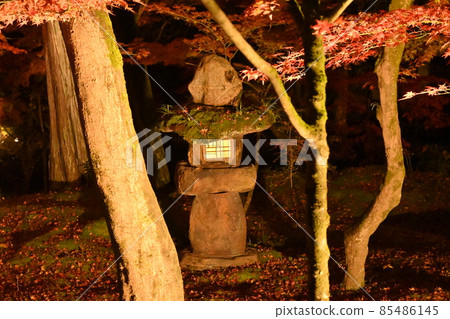 艾肯寺照亮了 85486145