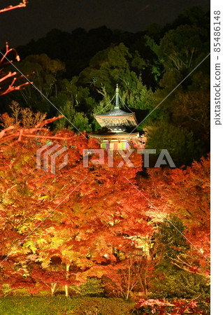 Eiken temple light up 85486148