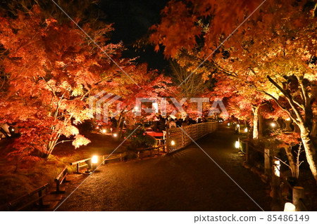 Eiken temple light up 85486149