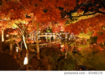 Eiken temple light up 85486178