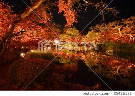 Eiken temple light up 85486181