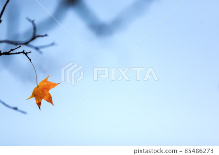 Beijing autumn ditan park view beautiful fall Beijing autumn ditan park view beautiful fall 85486273