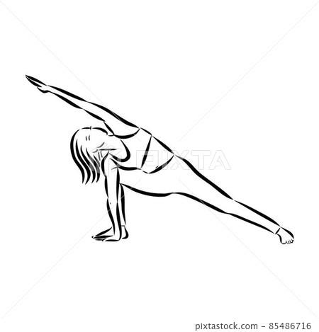 yoga pose. Line drawing. Healthy life concept -Vector Illustration yoga pose. Line drawing. Healthy life concept -Vector Illustration 85486716