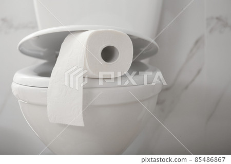 Paper roll on toilet bowl in bathroom Paper roll on toilet bowl in bathroom 85486867