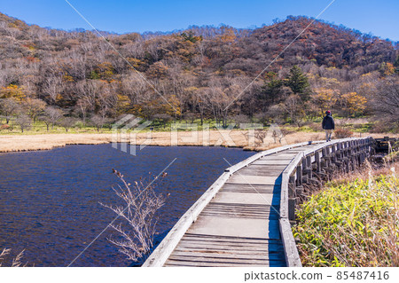 (Gunma Prefecture) Akagiyama / Kakumanbuchi Autumn Leaves 85487416