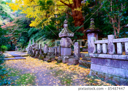 位於鎌倉古寺日蓮宗主山明本寺境內的比木氏紀念塔。 位於鎌倉古寺日蓮宗主山明本寺境內的比木氏紀念塔。 85487447