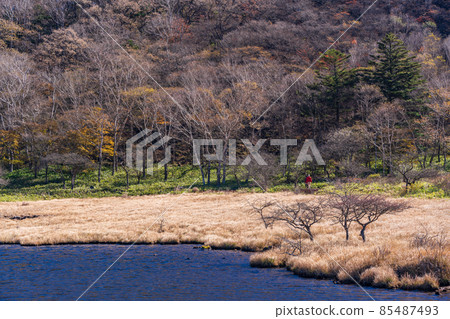 (群馬縣)赤城山/角滿淵秋葉 (群馬縣)赤城山/角滿淵秋葉 85487493