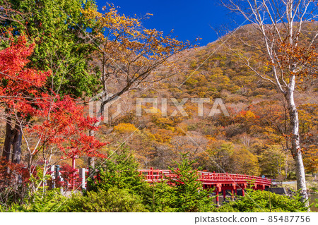 (Gunma Prefecture) Akagiyama / Akagi Shrine in Autumn Aged Woodpecker Bridge 85487756