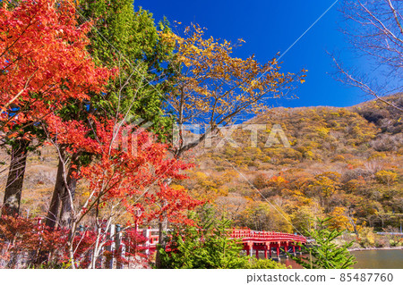 (Gunma Prefecture) Akagiyama / Akagi Shrine in Autumn Aged Woodpecker Bridge 85487760
