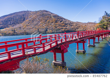 (Gunma Prefecture) Akagiyama / Akagi Shrine in Autumn Aged Woodpecker Bridge 85487762