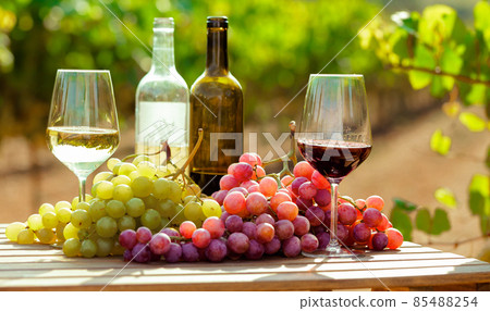 still life with glasses of red and white wine and grapes in field of vineyard 85488254